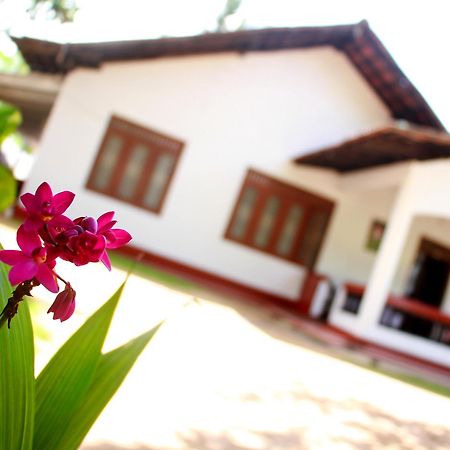 Aloha Mirissa Hostel Exterior photo