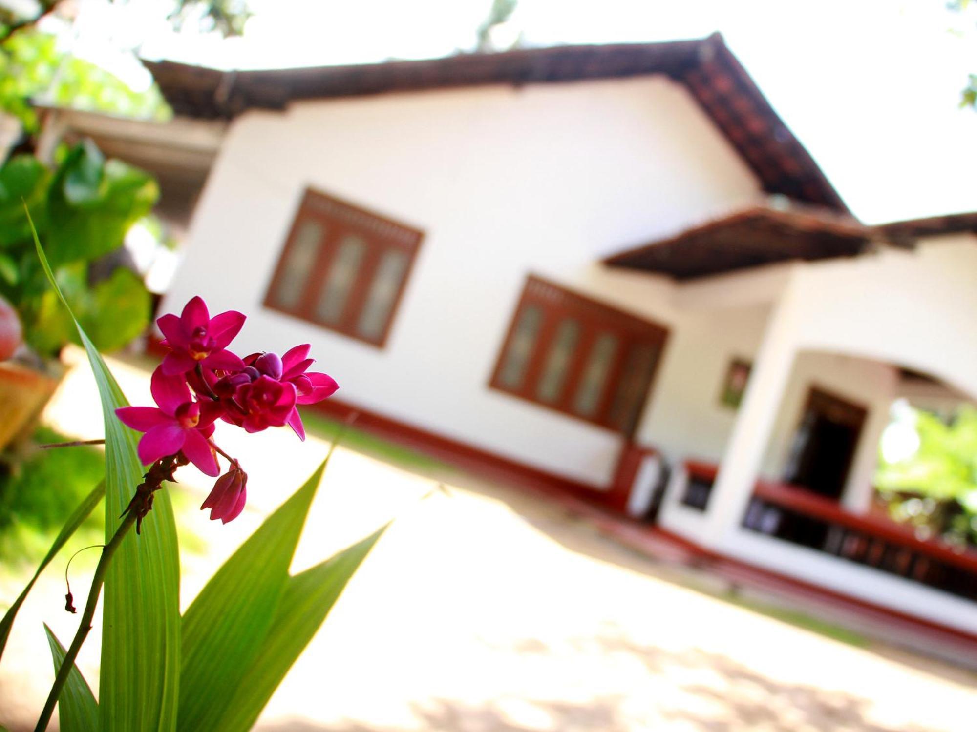 Aloha Mirissa Hostel Exterior photo